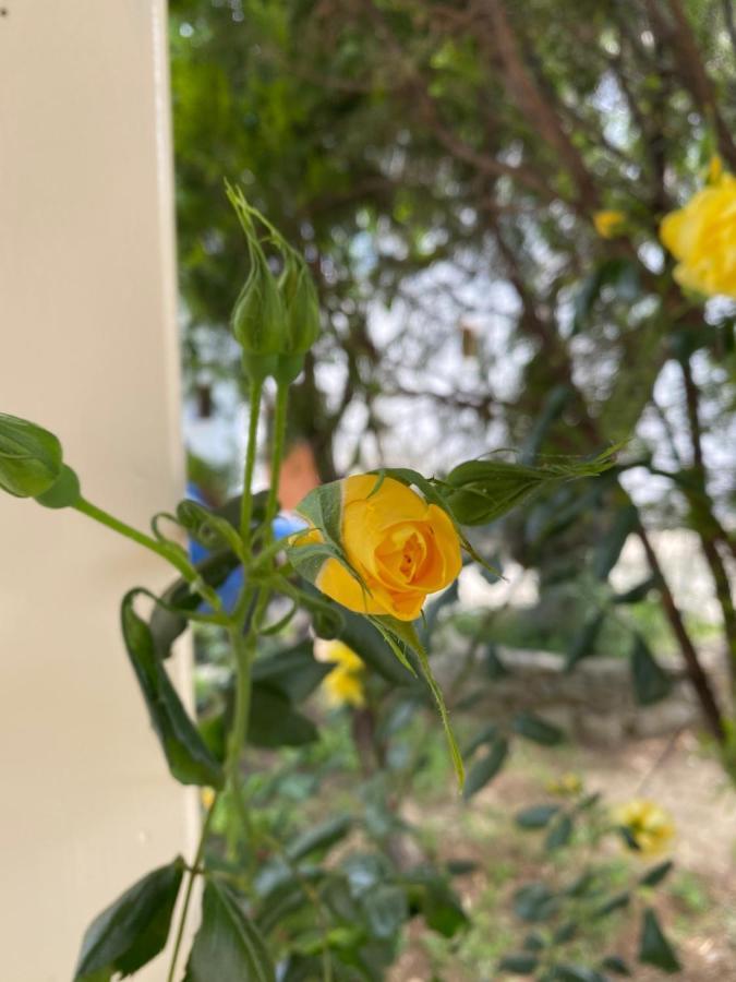Villa Valmas Katsaros  Εξωτερικό φωτογραφία